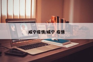 咸宁疫情/咸宁 疫情