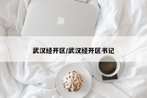 武汉经开区/武汉经开区书记