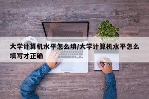大学计算机水平怎么填/大学计算机水平怎么填写才正确