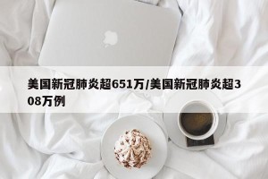 美国新冠肺炎超651万/美国新冠肺炎超308万例
